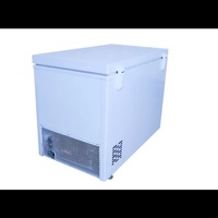Nuevo Congelador Solar de 300L con Puerta Única y 12v DC, Funciona con Panel Solar y Batería, Congelador Solar para Exteriores, Sin Conexión a la Red