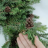 Tanaman Dekorasi Karangan Bunga Jarum Pinus Menjual Karangan Bunga Pinus