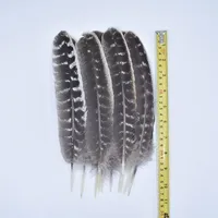 Lot de 10 Plumes d'Aigle Naturelles Véritables, Plumes Brutes pour Décoration, Artisanat de Faon, Accessoires de Carnaval, Plumes pour Broderie et Décoration