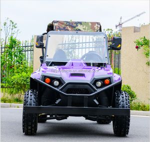 Go Kart 2024 de 150cc/200cc CVT de 2 Plazas con Certificación EEC/EPA - Product Image 3