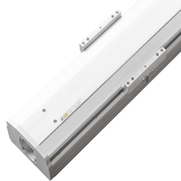 Actuador Lineal de Precisión SDM175 con Rodamiento de Bolas, Motor de Aluminio a Prueba de Polvo, Módulo Lineal de Perfil Bajo, Carga de 80 kg, Velocidad de 1 m/s