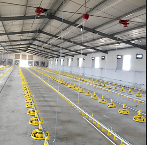 Chi phí thấp hiện đại prefab đẻ trứng gà Coop nhà xây dựng thiết kế chăn nuôi gà sữa cho trứng - Product Image 2