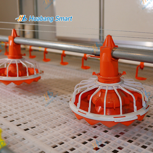 Dây chuyền Nuôi Gà Thịt tự động hoàn toàn - Product Image 2