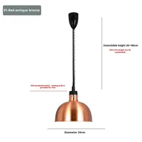 Lampe chauffante XIDA pour la restauration, les buffets, les supermarchés - 5 heures de chauffe, énergie efficace, classe énergétique, plusieurs pays