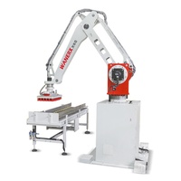 Palettiseur automatique de cartons, robot électrique de 50 kg pour la ligne de production industrielle des aliments et des boissons avec emballage en bois