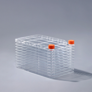 Frasco <span class=keywords><strong>de</strong></span> <span class=keywords><strong>cultivo</strong></span> <span class=keywords><strong>de</strong></span> células <span class=keywords><strong>de</strong></span> tejido estéril desechable Fábrica <span class=keywords><strong>de</strong></span> <span class=keywords><strong>cultivo</strong></span> <span class=keywords><strong>de</strong></span> células <span class=keywords><strong>de</strong></span> laboratorio multicapa para investigación biológica <span class=keywords><strong>Cultivo</strong></span> adherente <span class=keywords><strong>de</strong></span> células - Product Image 2
