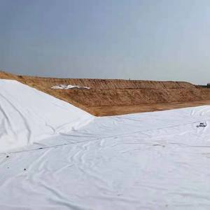 <span class=keywords><strong>Géotextile</strong></span> PET continu Long/Filament Polyester Longue Fibre Géotissu <span class=keywords><strong>Non</strong></span> <span class=keywords><strong>Tissé</strong></span> <span class=keywords><strong>Géotextile</strong></span> <span class=keywords><strong>Non</strong></span> <span class=keywords><strong>Tissé</strong></span> 150g <span class=keywords><strong>200g</strong></span> 250g - Product Image 3