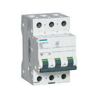 Disjoncteur miniature SIEMENS 5SL6 2P MCB 16A 6kA Protection en cuivre PA66 1000V