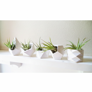 2023 Jardinières et pots de fleurs d'intérieur et d'extérieur de haute qualité, excellentes pour les deux utilisations, fabriquées en Inde - Product Image 1