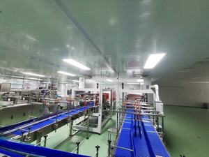 Ligne <span class=keywords><strong>de</strong></span> production automatique <span class=keywords><strong>de</strong></span> <span class=keywords><strong>jus</strong></span> <span class=keywords><strong>de</strong></span> fruits <span class=keywords><strong>pomme</strong></span> carton aseptique multifonctionnel - Product Image 4