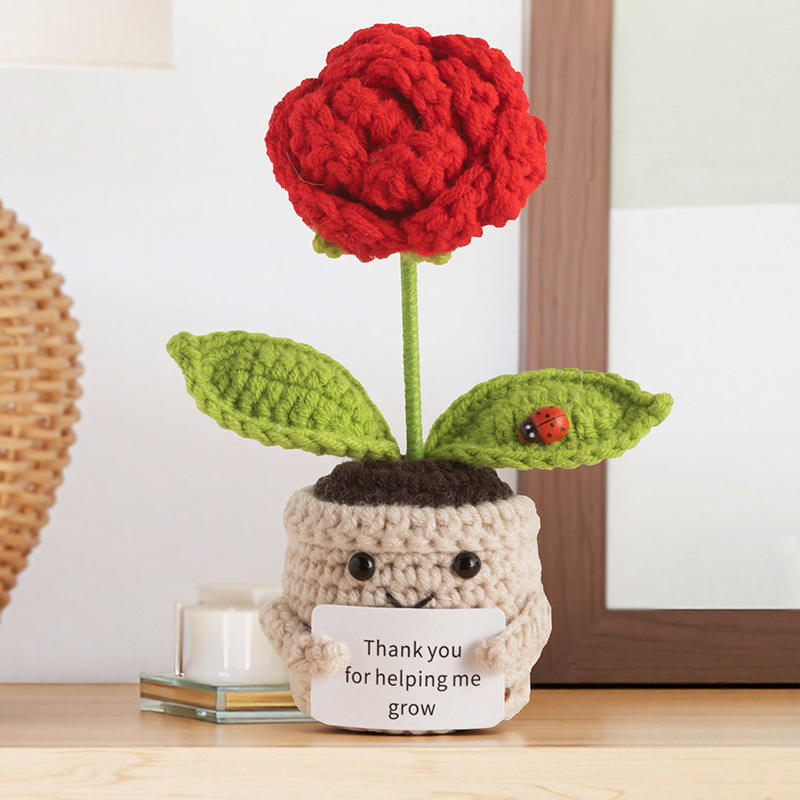 กุหลาบแดง