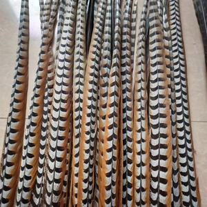 Oferta Especial Pluma de Cola de Faisán Reeves Natural de 60-120 cm para Decoración de Carnaval - Product Image 6