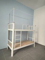 Lit superposé en métal pour adultes avec option lit superposé, structure en acier robuste, design moderne pour auberge, appartement et étudiants
