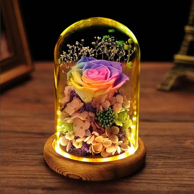 Creative gift immortal flower glass cover Christmas gift for girlfriend creative gift LED glass dome for Valentine's Day