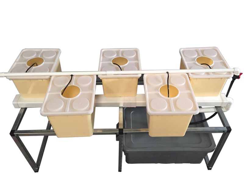 Greenhouse Price Aeroponic Bucket System Hydroponics