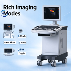 Machine à ultrasons Doppler écho couleur pour le balayage d'ultrasons humains obstétriques, cardiaques, urologiques - Product Image 1