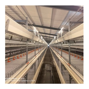 H Type Couche Poulet Poules <span class=keywords><strong>Cage</strong></span> Ferme De Volaille Mangeoire Poussins Rôtissoire Équipement Automatique Batterie Tiré Poulailler Maison - Product Image 5
