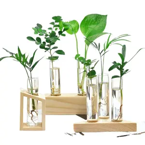 home office decor bud mini air separation plant terrarium propagation station hydroponic flower bulb glass vase wooden stand