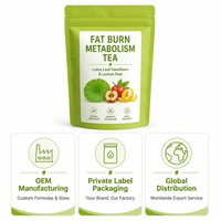 Thé Minceur Herbal Brûle-Graisse 5g x 20 Sachets Pyramidaux – Soutien Métabolique & Amincissant – Durée de Conservation 18 Mois