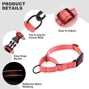 Verstelbare Reflecterende Nylon Training Hondenhalsband Martingale Dubbele Ring Afsluitbare Hondenhalsband - Product Image 5