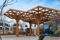 Materiales de Construcción de Bambú Moso al por Mayor de China, Materiales para Cabañas de Bambú para Jardín, Nuevos Materiales de Construcción
