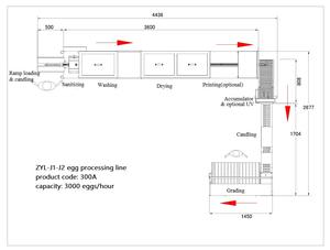 Venta al por mayor Zenyer 3000 capacidad línea de lavado de clasificación de huevos máquina de clasificación de huevos equipo de limpieza de huevos sucios de granja con <span class=keywords><strong>precio</strong></span> más bajo - Product Image 3