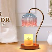 LANJO Lampe chauffe-cire électrique romantique à l'arôme de fraise, éclairage d'ambiance pour chambre à coucher, parfum d'ambiance