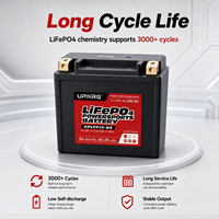 Baterai Starter Motor Yauneidak 12.8V LiFePO4 3Ah-30Ah Proteksi IP67 2000 Siklus untuk Black Wasp Furia 250cc CCA Tinggi