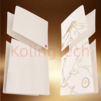 Pro Digital Edition Ghost Cover Plates Ersatz-Gehäuseplatten Kompatibel mit Neuer PlayStation 5 Pro Digital Zubehör Yotei