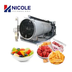 SUS 304 Lyophilizer Vacuum Freeze Dryer Machine Fruit Vacuum Freeze Drying Equipment