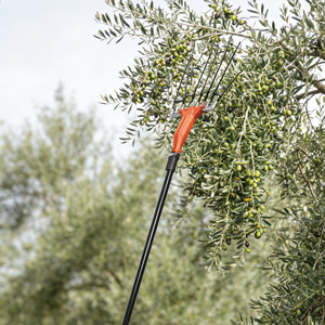 Sbattitore/Raccolgitore Elettrico <span class=keywords><strong>per</strong></span> Olive 36V, Macchina Raccogli Olive e Frutta Secca (<span class=keywords><strong>Batteria</strong></span> Non Inclusa nel Prezzo) - Product Image 3