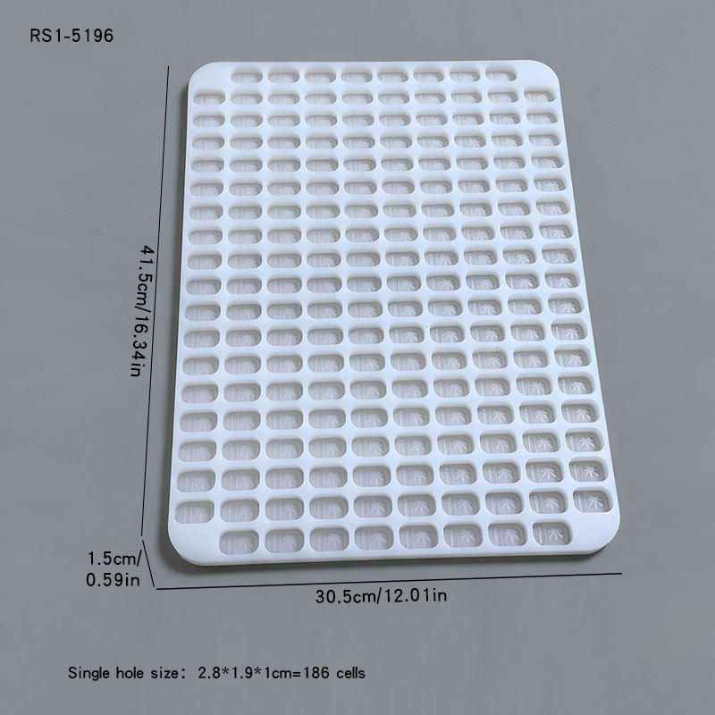 อาร์เอส1-10