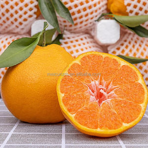 Tangerine chinoise Chunjian Dekopon, orange, agrumes frais de qualité supérieure, sucrés <span class=keywords><strong>et</strong></span> juteux, provenant du Sichuan, Chine - Product Image 1
