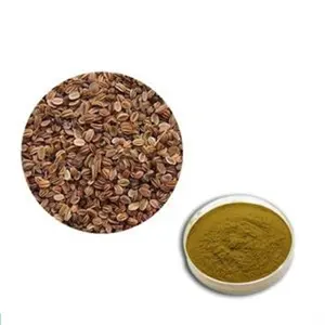 Quality Factory Supplier Osthole 10-1 Cnidium Monnieri Seed Extract Powder
