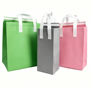 PP Non Woven Aluminum Foil Durable Disposable Cooler Bag for Snack Small <b>Takeaway</b> <b>Coffee</b> Food Delivery Thermal Insulated Bag - Product Image 1