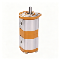 Pompe à engrenages externe double combinaison CBWL-E310/308 avec boîtier en alliage d'aluminium haute résistance pour systèmes hydrauliques industriels