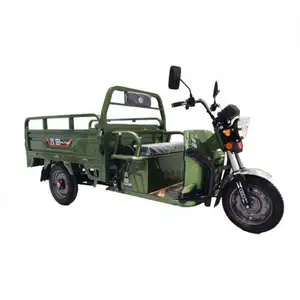 New Type 20Ah Four Wheel Vehicle Closed Electric Tricycle Or Family Use