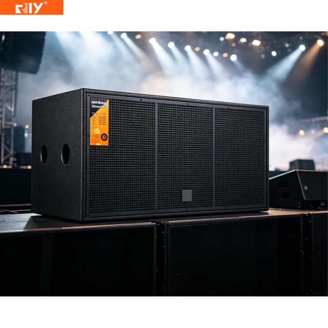 DS218 Dual 18 Inch High Power 1600W Subwoofer Speaker Box 220 mm Magnet 100 mm V/C Passive Dj Speaker for Surround Sound System