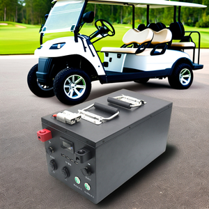 12V <b>24v</b> 48V 100Ah 200AH Lifepo4 <b>Battery</b> Pack IP65 Solar Rechargeable for Outdoor Camping USB Interface Portable Power Supply - Product Image 2