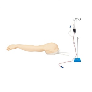 Modelo Completo de Brazo para Venopunción y Acceso Venoso, Entrenamiento de Habilidades de Venopunción, Práctica de Inyección Intramuscular e Intradérmica - Product Image 2