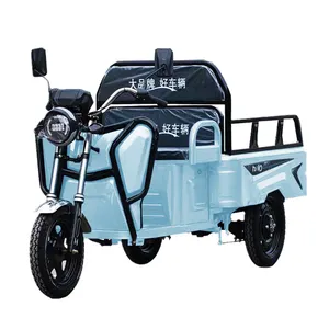 Tricycle Motorcycle Electric In Pakistan Cargo Bike Fat Tire Minitype For Cargo Solar