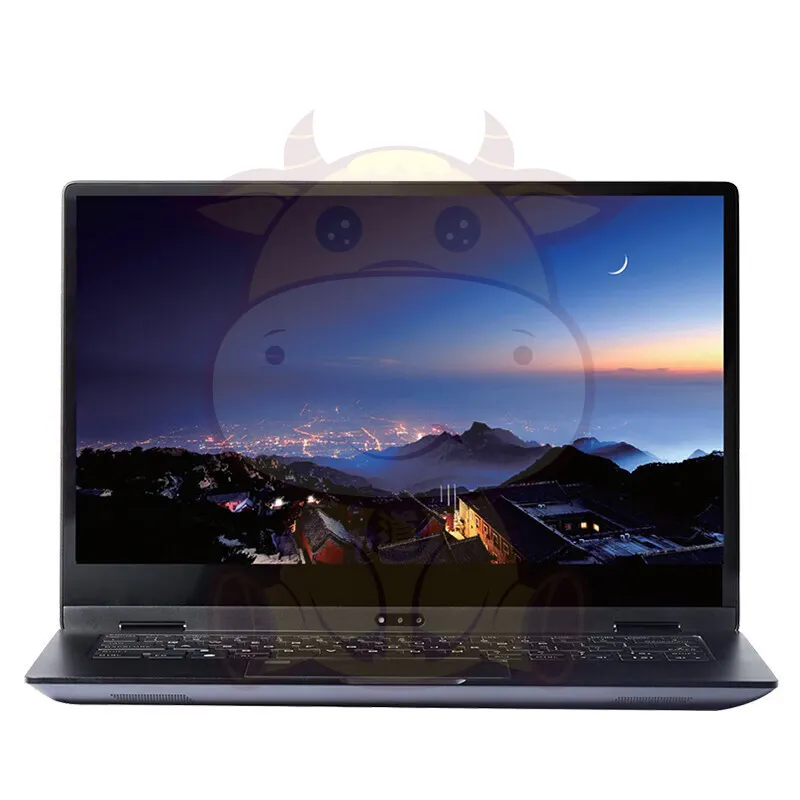 Tian YiTR4261 Domestic Business Laptop Tengrui D2000/8GB/256GB SSD/2G Unique Display /14 Inches