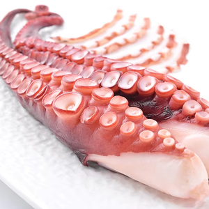 Venta al por mayor de mariscos japoneses congelados de gran tamaño Natural Live Octopus Baby Octopus Leg I.Q.F Technology Cooked Style - Product Image 1