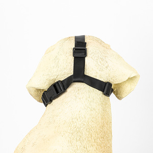 도매 멀티 사이즈 블랙 조절 가능한 통기성 개 총구 - Product Image 6