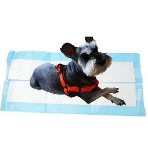 Source Factory 100x140cm Extra <span class=keywords><strong>Large</strong></span> Pee Pads Pour Chiens Étanche SAP Core Étanche Pot <span class=keywords><strong>Pad</strong></span> - Product Image 1