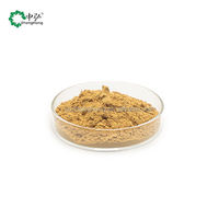 Extrait de plantes pures ZhongHong : Poudre d'hypericum perforatum (millepertuis) par extraction par solvant, ingrédient actif hypericine, qualité alimentaire