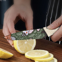 Set pisau dapur motif, pisau pengiris wanita dapur khusus 3 buah, Set pisau baja tahan karat