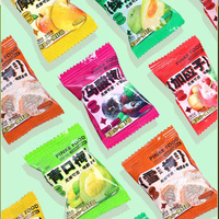 Vegan Geconserveerde Fruit Snack 508g Zakje - Gekonfijte Zoete & Zure Mix met Gedroogd Fruit