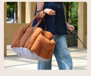 Siège de voiture portable pour animaux de compagnie, siège surélevé pour chien et chat avec housse amovible et lavable, ceinture de sécurité pour les voyages en plein air, utilisable en toutes saisons - Product Image 5