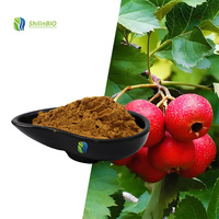 SLBIO Hoogwaardig Voedingsmiddelkwaliteit Gedroogd Hawthorn Fruitpoeder Flavonoïde